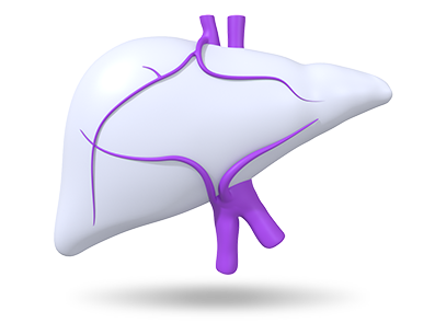 Hepatology Icon